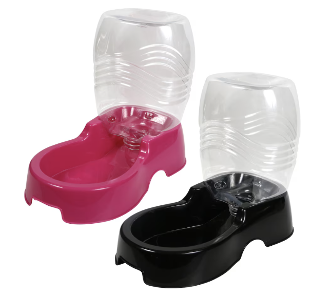 Water dispensing bowl